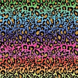 Rainbow Leopard (vinyl)