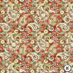 Rainbow Paisley (vinyl) - Image 11