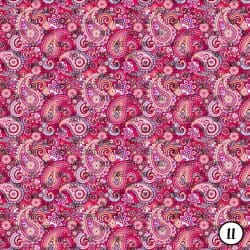 Rainbow Paisley (vinyl) - Image 12