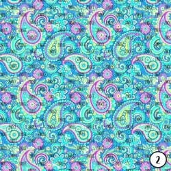 Rainbow Paisley (vinyl) - Image 3