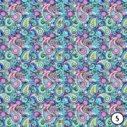 Rainbow Paisley (vinyl) - Image 6