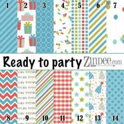 Ready to Party (vinyl)