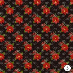 Red Blooms on Black (vinyl) - Image 4