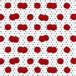 Red Cheer Poms (vinyl)