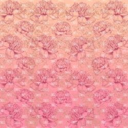 Red Gold Ombre Peonies (digital paper)