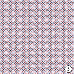 Red White and Blue Patriotic (vinyl) - Image 4