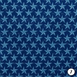 Red White and Blue Patriotic (vinyl) - Image 8