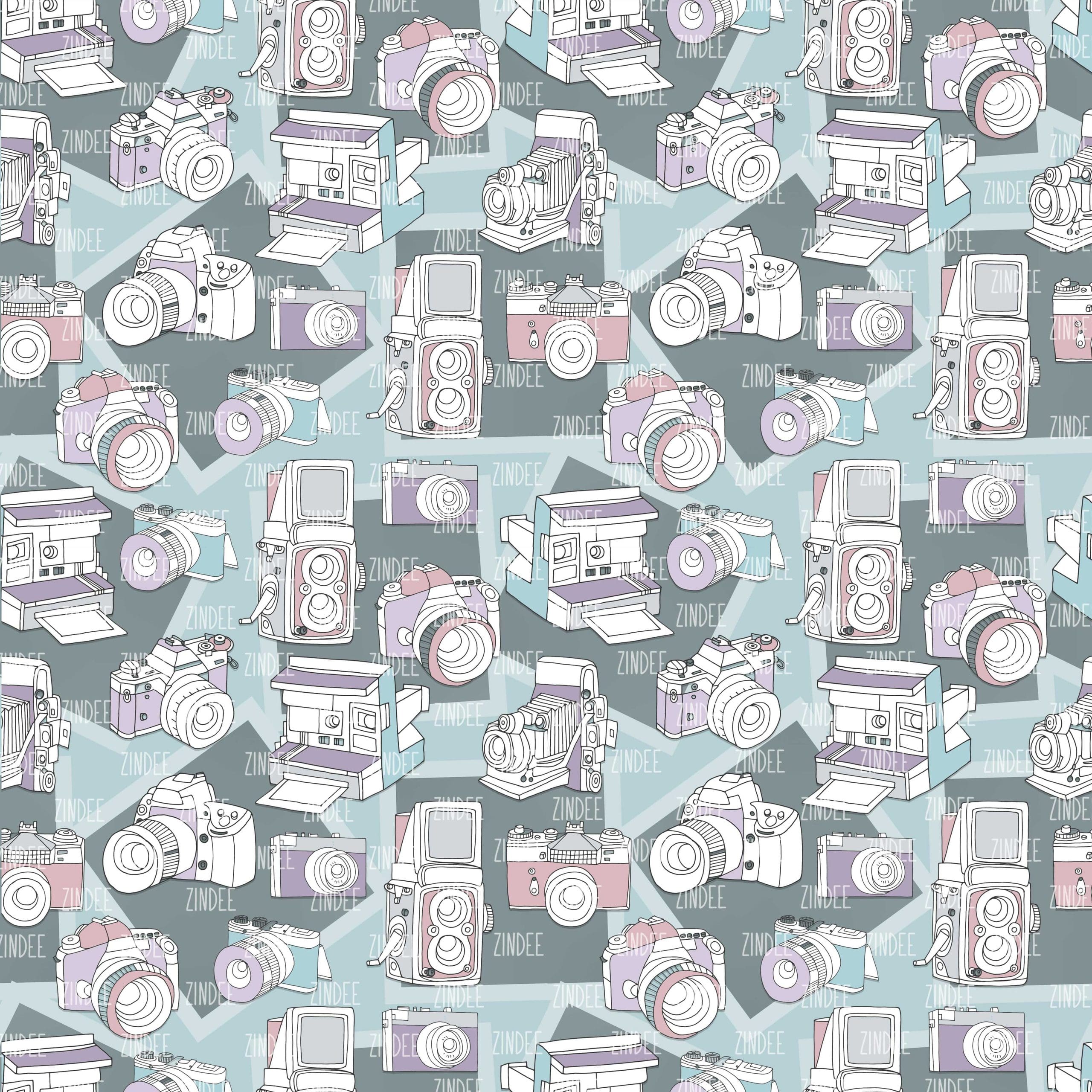 Retro Cameras (vinyl)