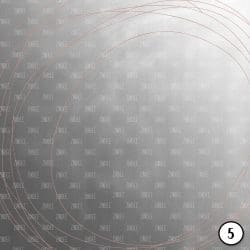 Rose Gold (vinyl) - Image 6