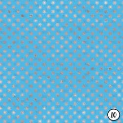 Rose Gold and Sky Blue (vinyl) - Image 11