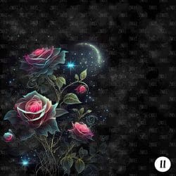 Rose Spells (vinyl) - Image 12
