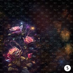 Rose Spells (vinyl) - Image 6