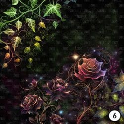 Rose Spells (vinyl) - Image 7