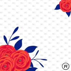 Royal Brights (vinyl) - Image 15