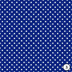 Royal Brights (vinyl) - Image 4