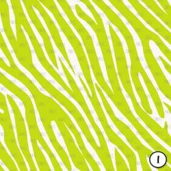 Safari Brights (vinyl) - Image 2