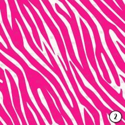 Safari Brights (vinyl) - Image 3