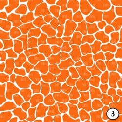 Safari Brights (vinyl) - Image 4