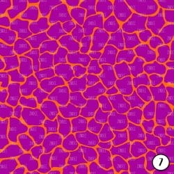 Safari Brights (vinyl) - Image 8