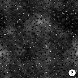 Seamless Glitter Cats (vinyl) - Image 4