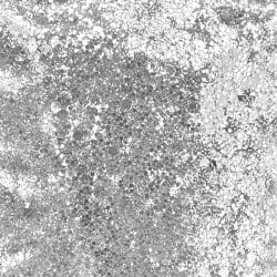 Alternative view of Silver Bells Chunky Polyester Glitter