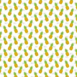So Many Pineapples (vinyl) - Image 13