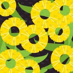 So Many Pineapples (vinyl) - Image 14