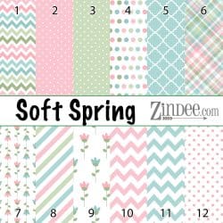 Soft Spring (vinyl)