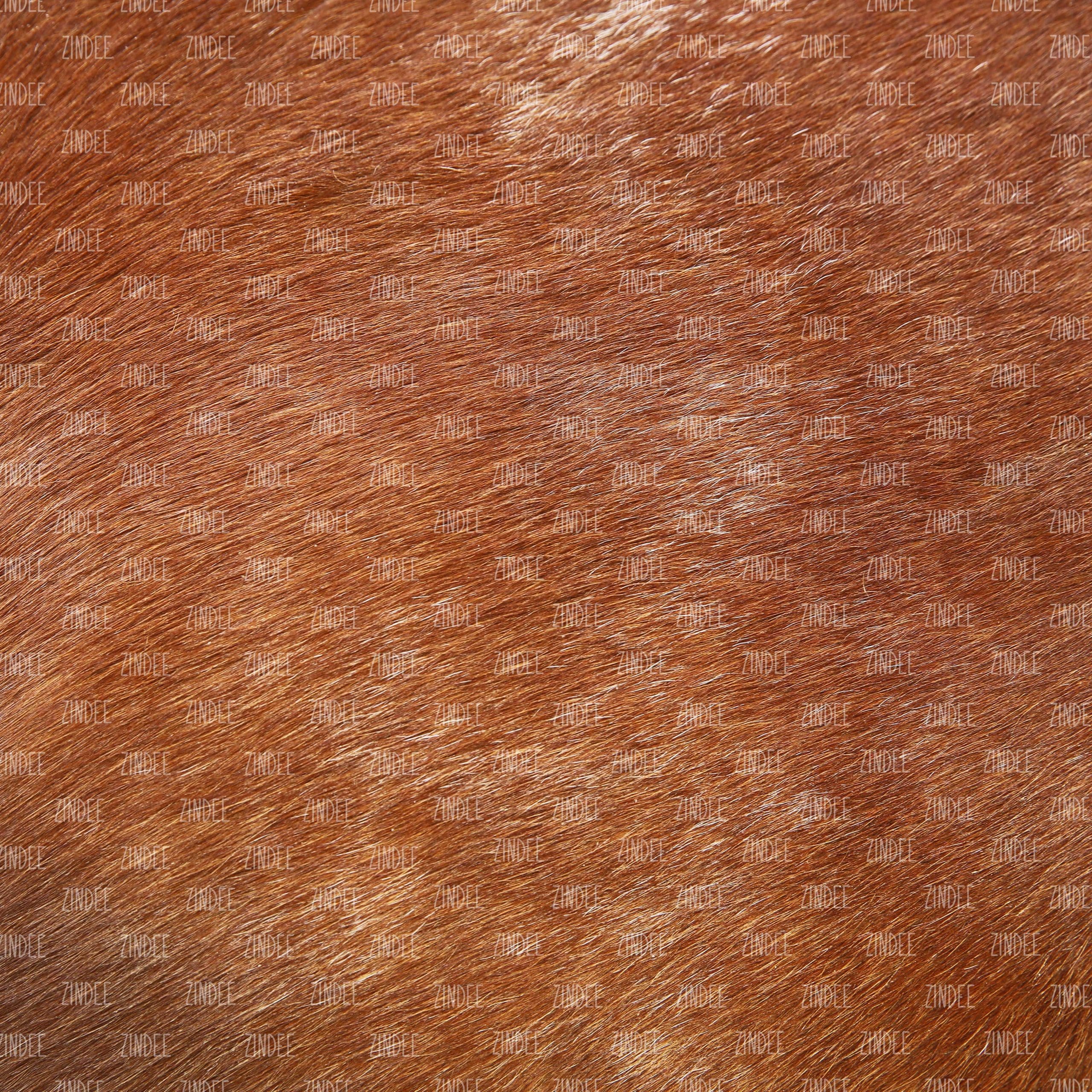 Cowhide Solid Brown (vinyl)