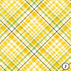 Summer Plaids (vinyl) - Image 3