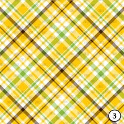 Summer Plaids (vinyl) - Image 4