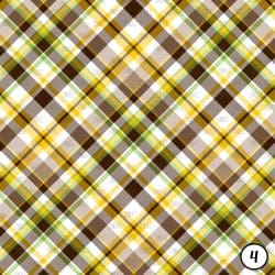 Summer Plaids (vinyl) - Image 5