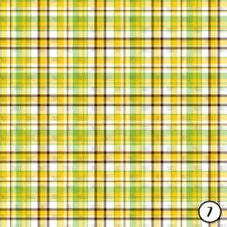 Summer Plaids (vinyl) - Image 8