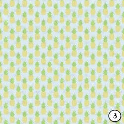 Sweet Pineapples (vinyl) - Image 4