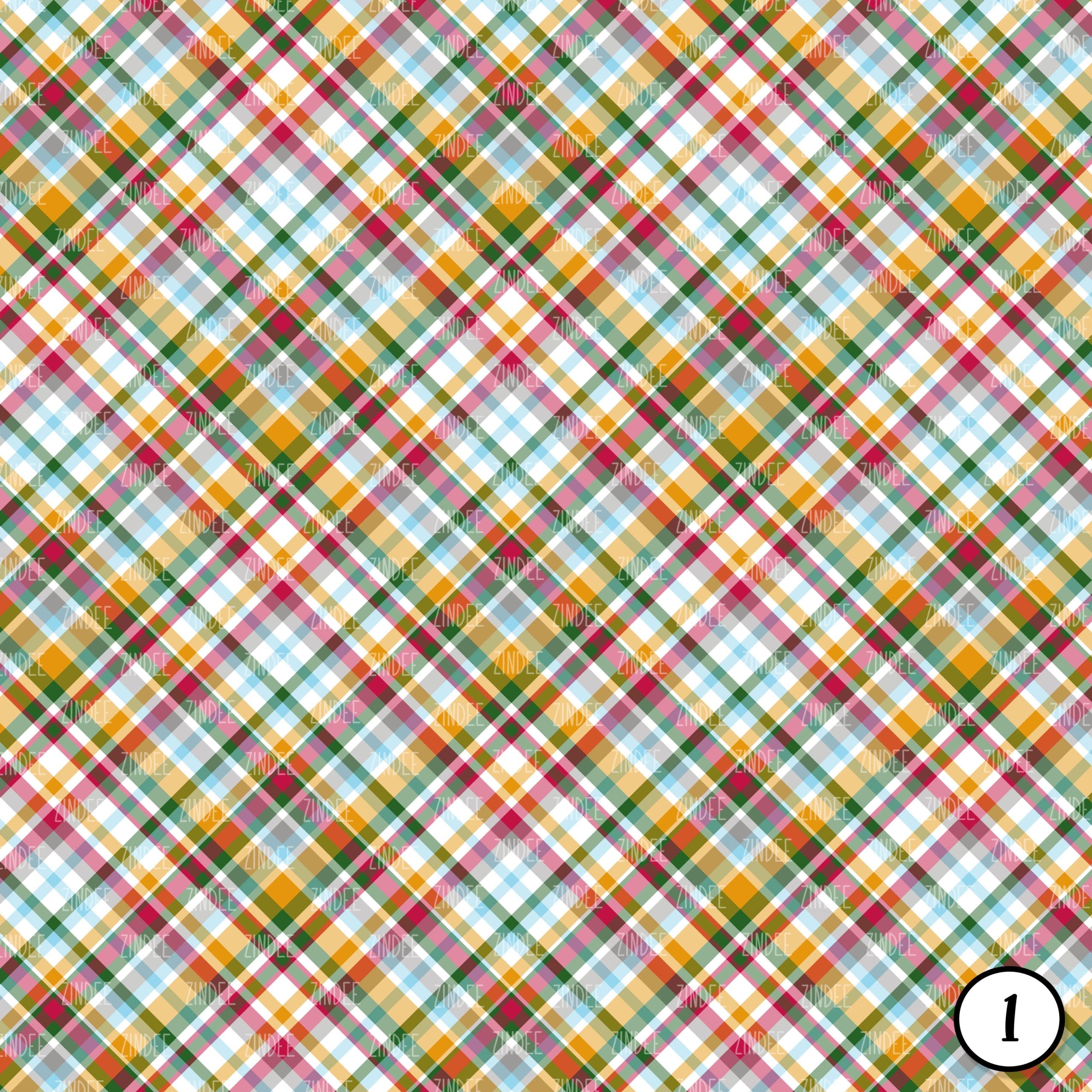 Alternative view of Teachers (vinyl)