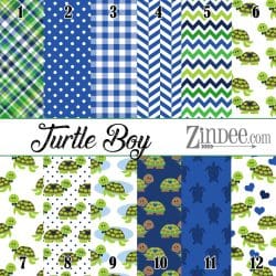 Turtle Boy (vinyl)