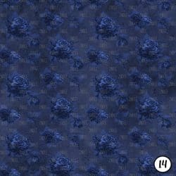 Vampire Midnight (vinyl) - Image 15