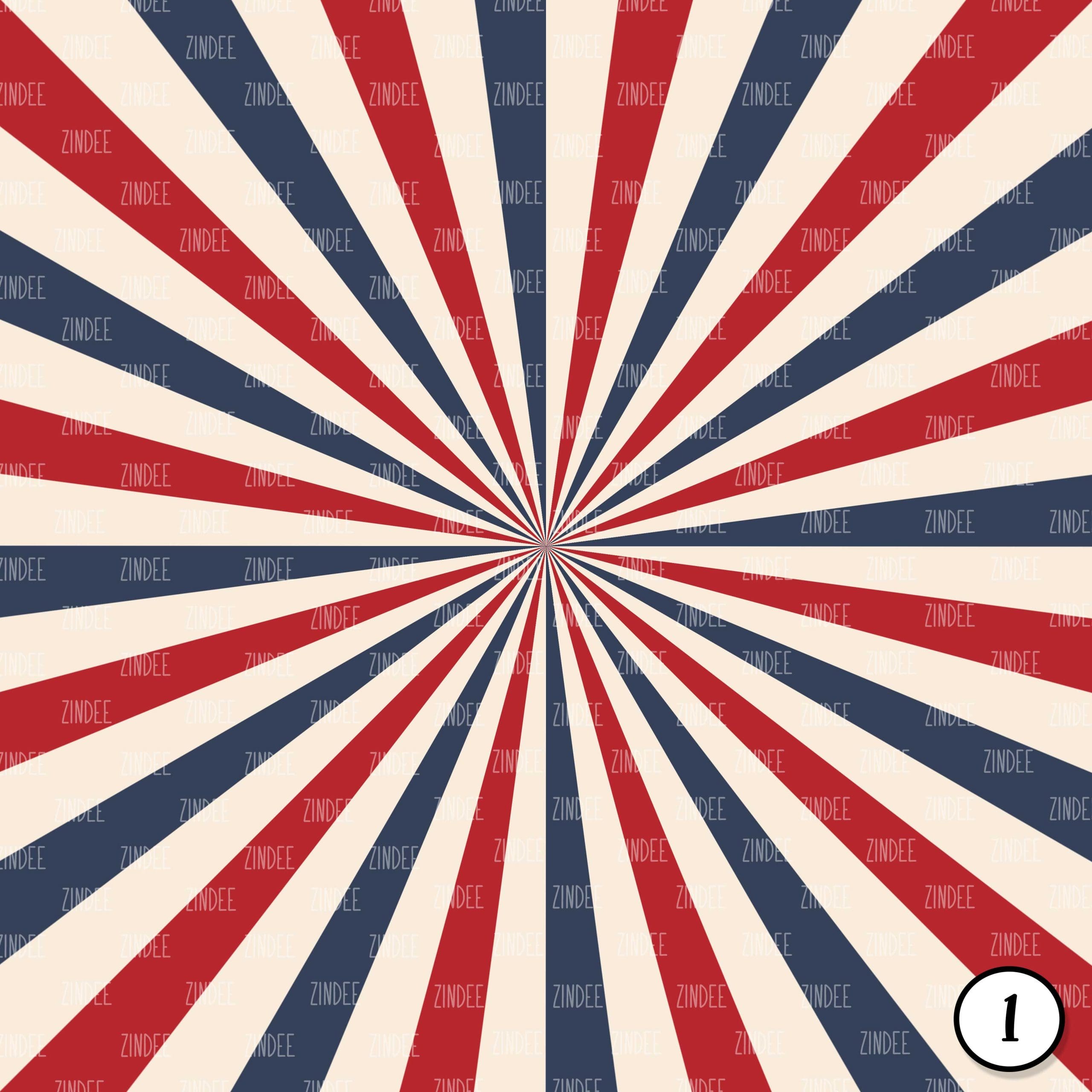 Alternative view of Vintage Stars and Stripes (vinyl)