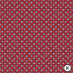 Vintage Stars and Stripes (vinyl) - Image 11