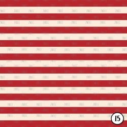 Vintage Stars and Stripes (vinyl) - Image 16