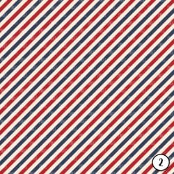 Vintage Stars and Stripes (vinyl) - Image 3