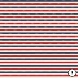Vintage Stars and Stripes (vinyl) - Image 4