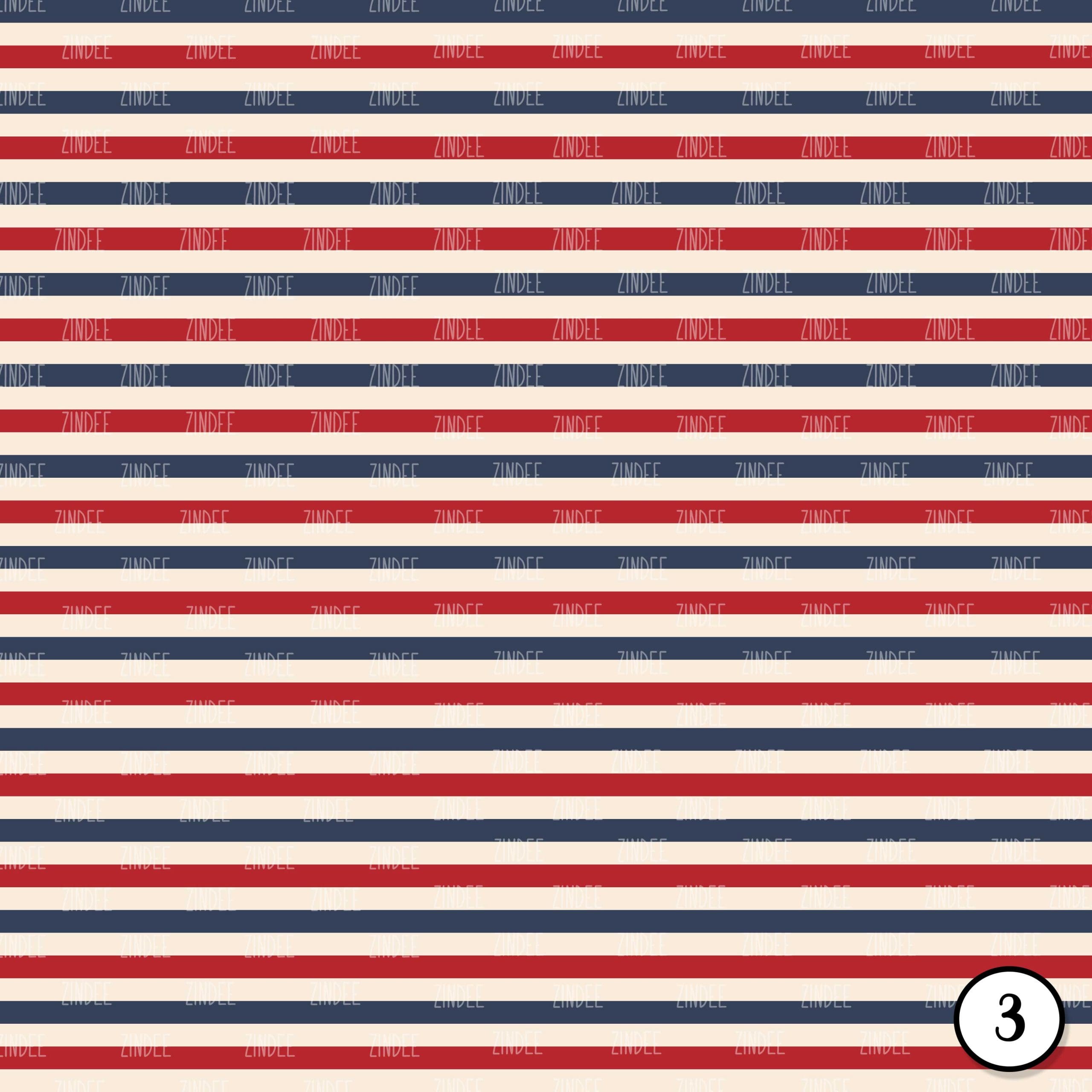Vintage Stars and Stripes (vinyl) - Image 4