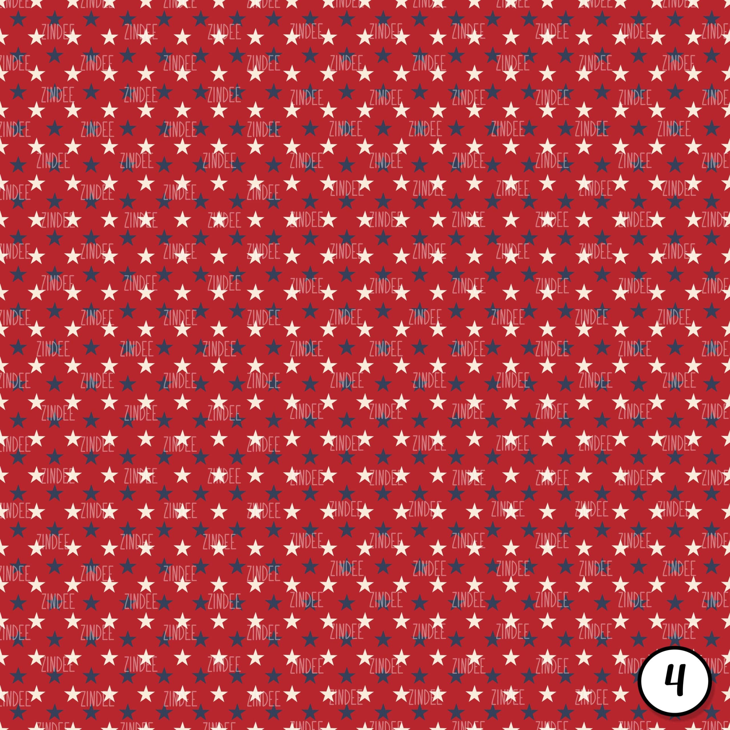 Vintage Stars and Stripes (vinyl) - Image 5