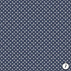 Vintage Stars and Stripes (vinyl) - Image 8