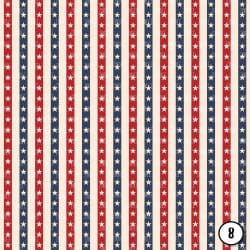 Vintage Stars and Stripes (vinyl) - Image 9