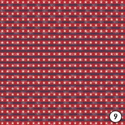 Vintage Stars and Stripes (vinyl) - Image 10