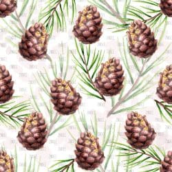 Watercolor Pine Cones and Leaves (vinyl)