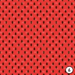 Watermelon (vinyl) - Image 7