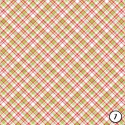 Watermelon (vinyl) - Image 8